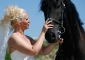 Bruid met een Fries paard